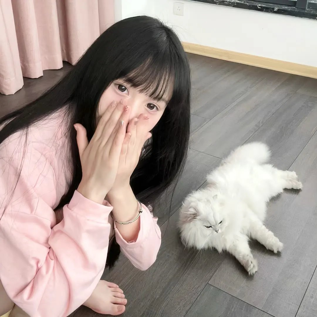 剧场版 秘密战队五连者